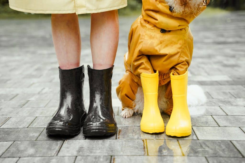 5 types de chaussures d'automne idéales pour la saison