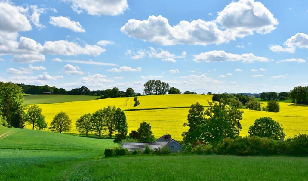 Météo du week-end (28/01-29/01) : De nombreux nuages samedi et une belle journée dimanche