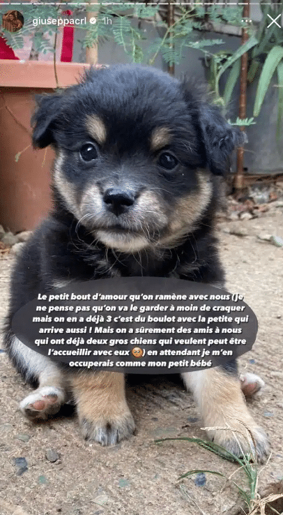“Je m’en occuperai comme mon petit bébé” : Giuseppa fait des révélations sur son projet d’adoption avec Paga