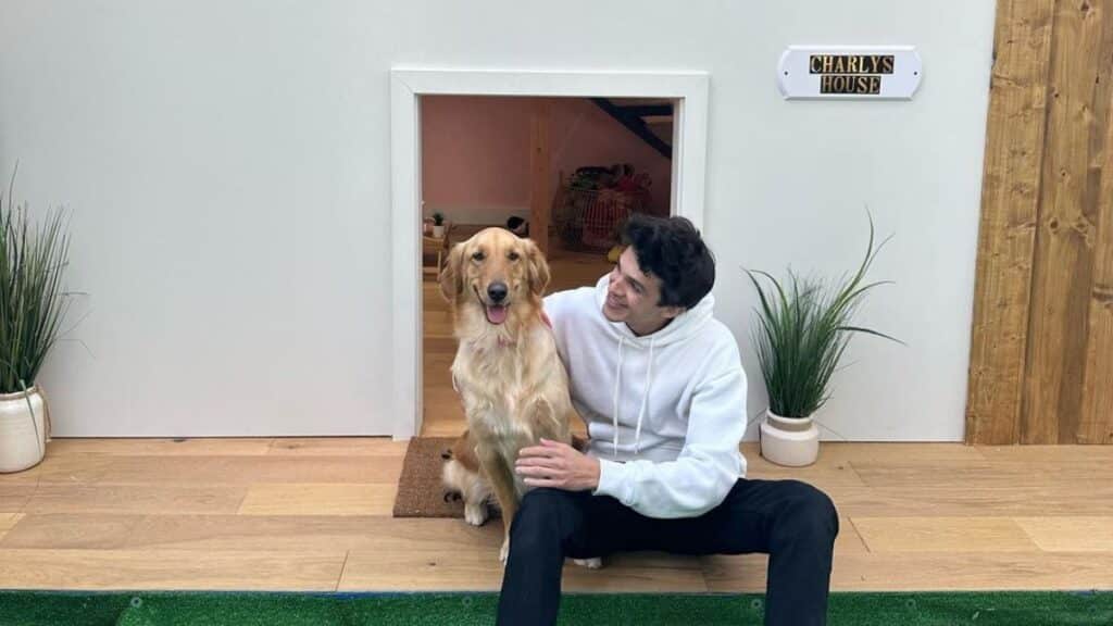 Un YouTubeur d&eacute;pense 23 000&euro; pour offrir la maison de r&ecirc;ve &agrave; son chien