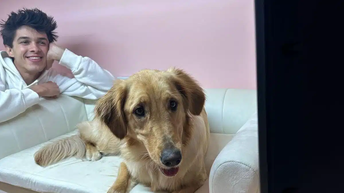 Un YouTubeur dépense 23 000€ pour offrir la maison de rêve à son chien