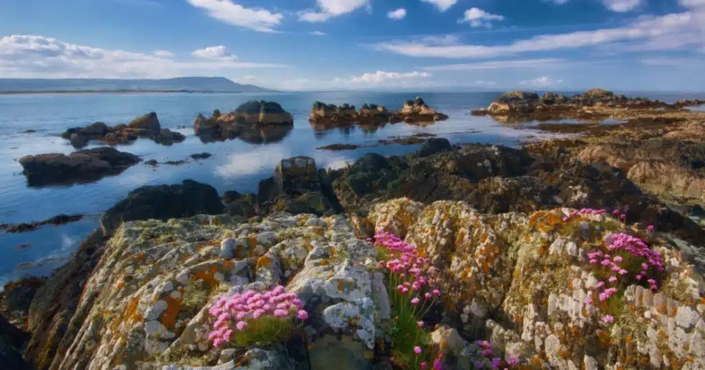 "Our living islands" : L'Irlande offre 84 000 euros pour s'installer sur une &icirc;le isol&eacute;e