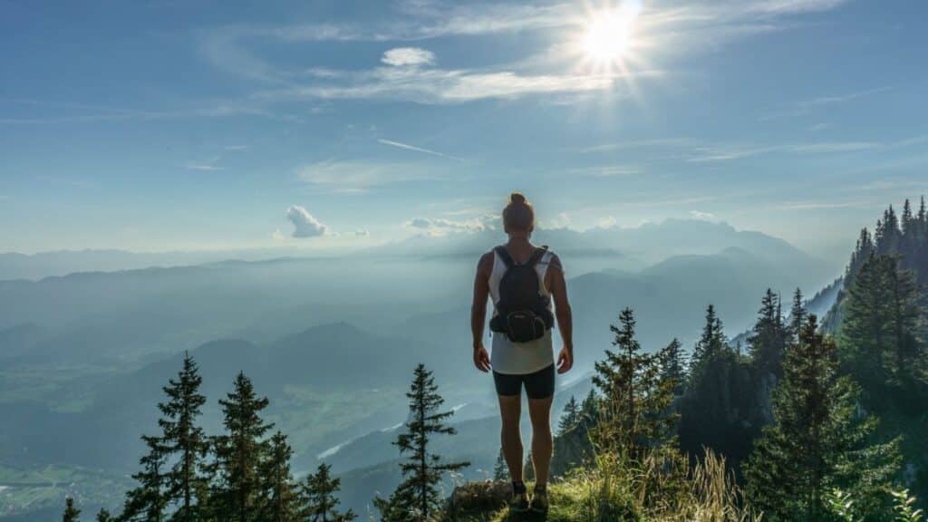 Perdu en forêt ? Suivez notre guide pour retrouver son chemin en toute sérénité
