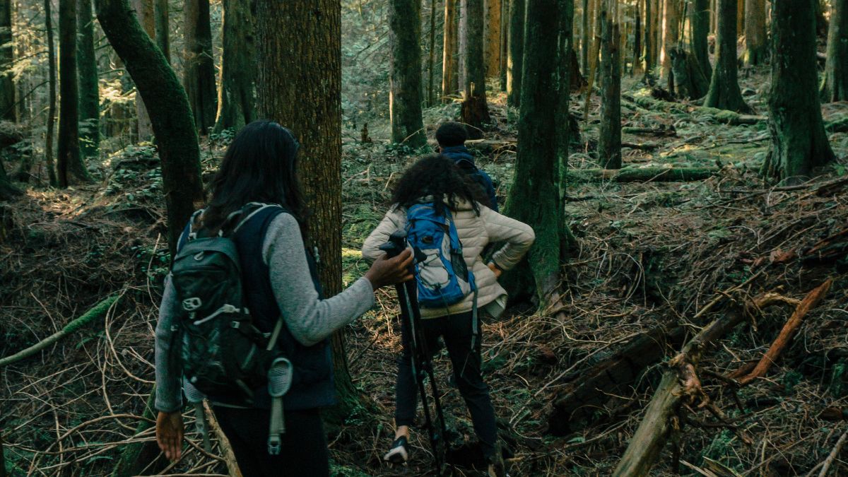 Perdu en forêt ? Suivez notre guide pour retrouver son chemin en toute sérénité