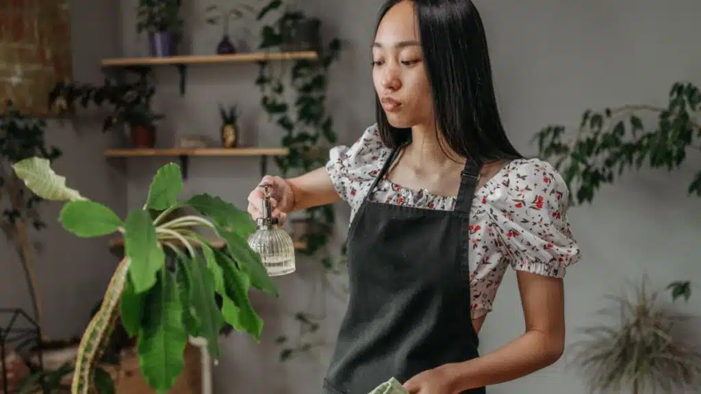 Comment fabriquer du gel d'arrosage pour protéger vos plantes pendant les vacances ?