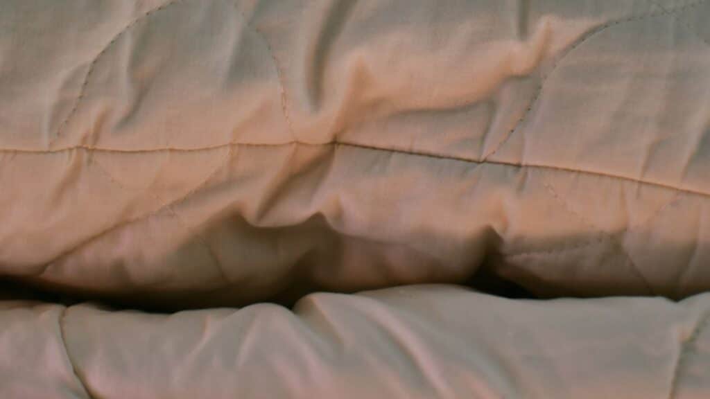 Invasion de punaises de lit en France : Comment les détecter et s'en débarrasser grâce à une odeur particulière ?