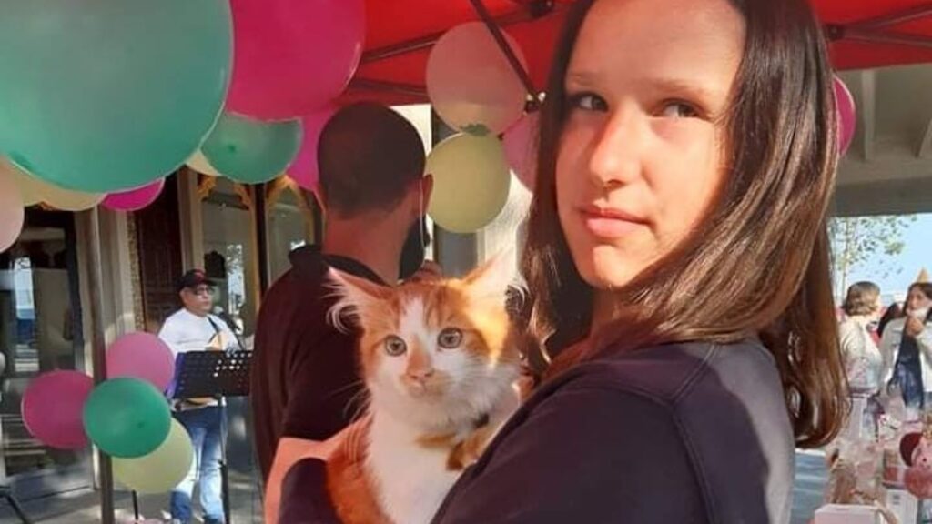 “La Patte Normande” : L’association lance un appel à l’aide pour son havre de paix pour les chats abandonnés