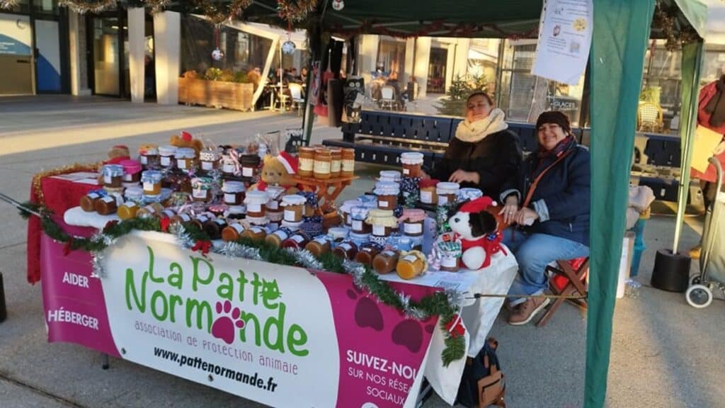 “La Patte Normande” : L’association lance un appel à l’aide pour son havre de paix pour les chats abandonnés