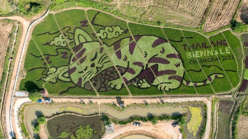 Un musée à ciel ouvert : Un agriculteur thaïlandais transforme des rizières en œuvres d'art